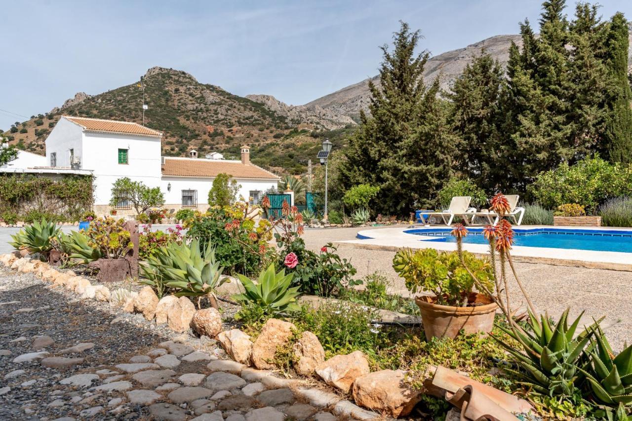 אל צ'ורו Alojamiento Rural El Viso מראה חיצוני תמונה